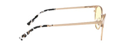 Apex (ONLINE ORDER ONLY)