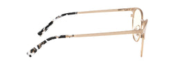 Apex (ONLINE ORDER ONLY)