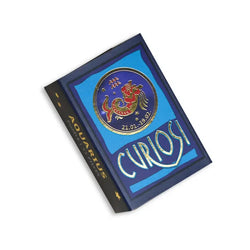 Aquarius Zodiac 33 Piece Mini Matchbox Jigsaw Puzzle Curiosi (ONLINE ORDER ONLY)