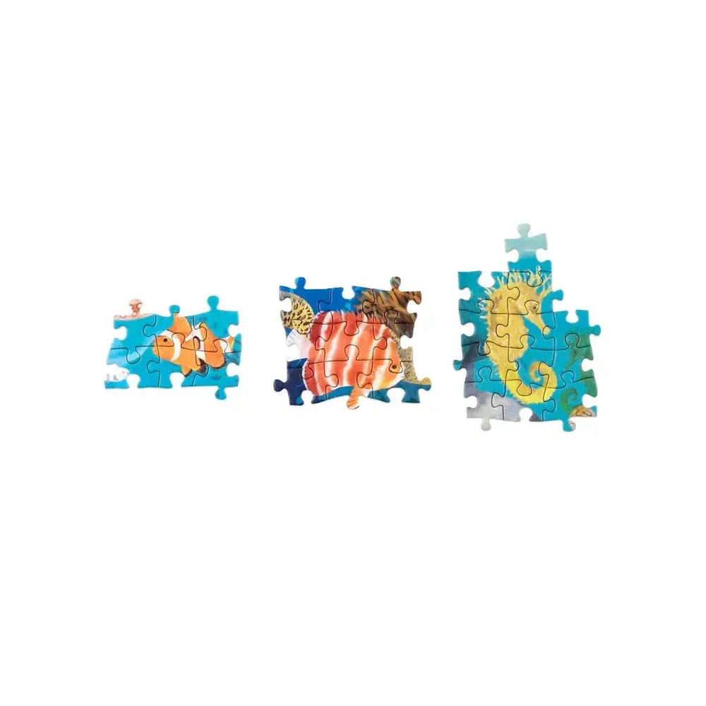 Around the World in 50 Fish 1000 Piece Jigsaw Puzzle Laurence King