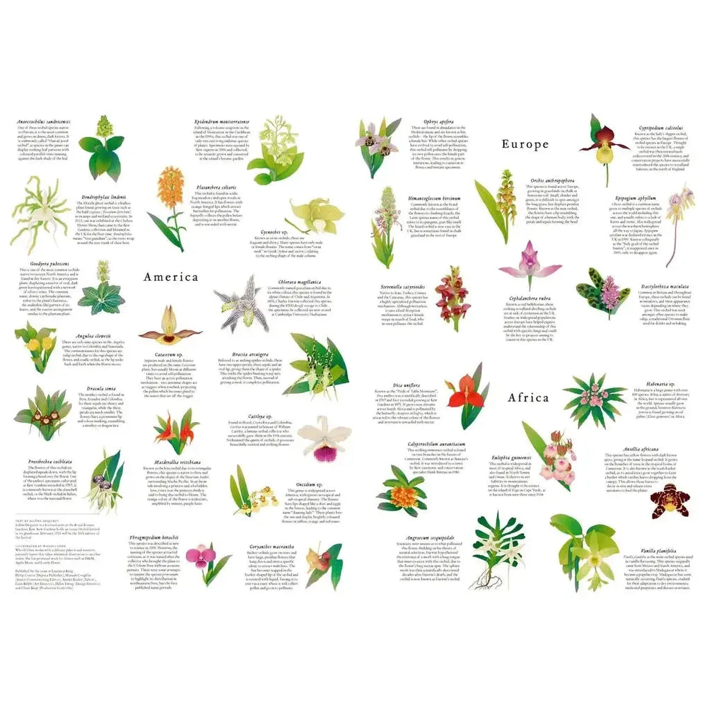 Around the World in 50 Orchids 1000 Piece Jigsaw Puzzle Laurence King (ONLINE ORDER ONLY)