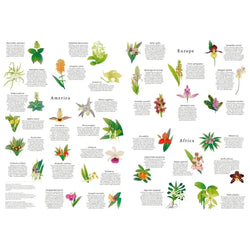 Around the World in 50 Orchids 1000 Piece Jigsaw Puzzle Laurence King (ONLINE ORDER ONLY)