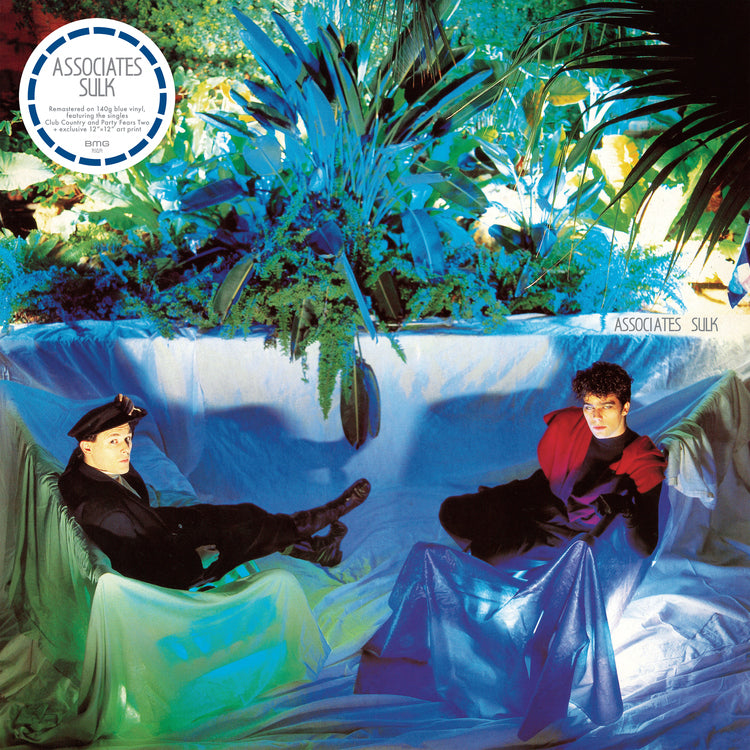 Sulk (40th Anniversary Edition) [Vinyl]