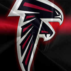 Atlanta Falcons Bedding Set Duvet Cover Without Filler (Online Order Only)