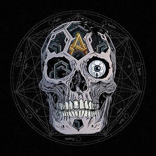 In Our Wake [LP] [Vinyl] (ONLINE ORDER ONLY)