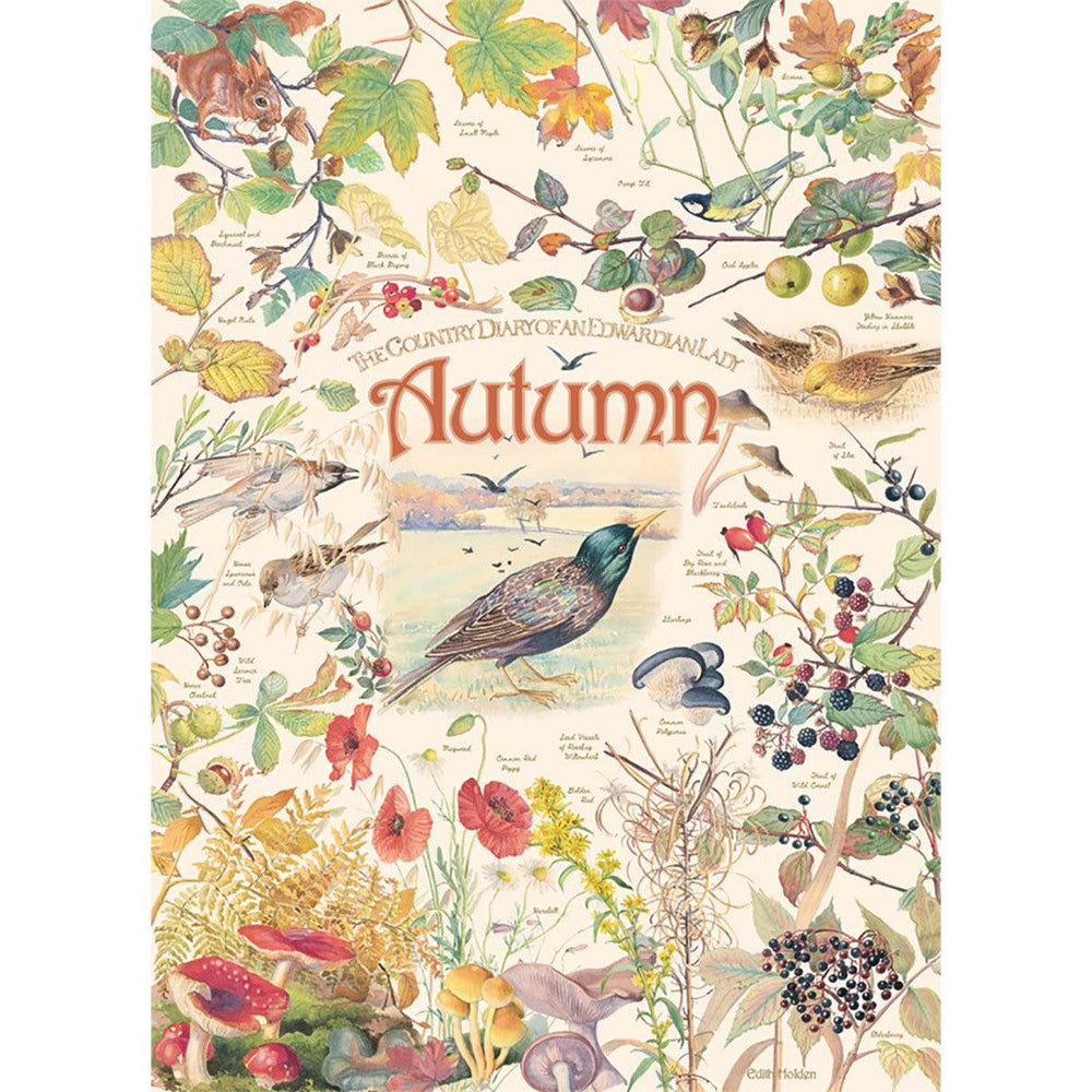 Autumn Country Diary 1000 Piece Jigsaw Puzzle Cobble Hill (ONLINE ORDER ONLY)