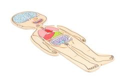 Multi-Layer Nesting Wood Puzzle: Your Body Boy 5 Layers (ONLINE ORDER ONLY)