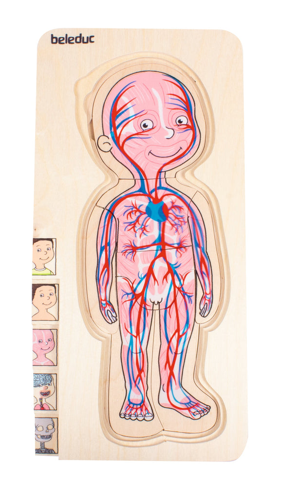 Multi-Layer Nesting Wood Puzzle: Your Body Boy 5 Layers (ONLINE ORDER ONLY)