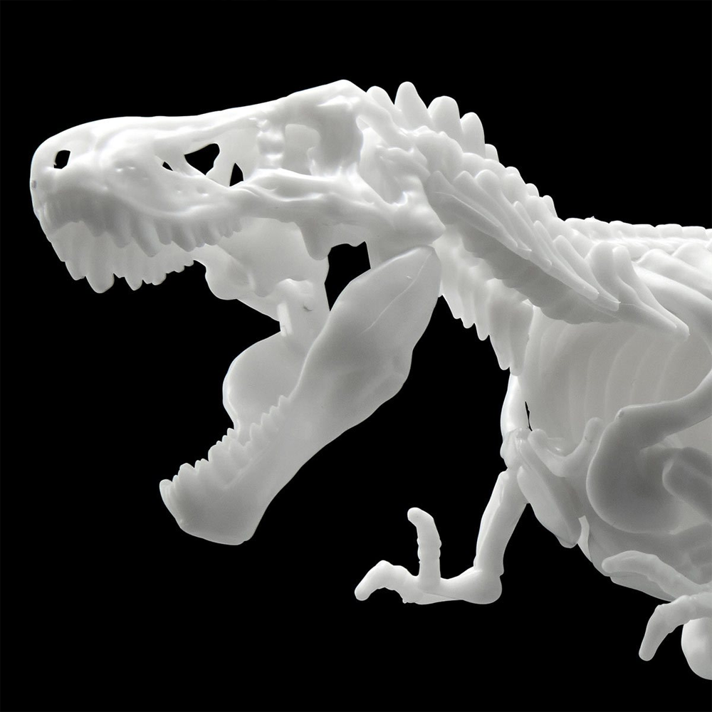 Bandai Spirits: Dinosaur - Tyrannosaurus (Limex Skeleton) Model Kit (ONLINE ORDER ONLY)