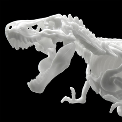 Bandai Spirits: Dinosaur - Tyrannosaurus (Limex Skeleton) Model Kit (ONLINE ORDER ONLY)