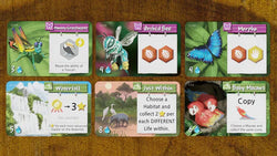 Life of the Amazonia (ONLINE ORDER ONLY)
