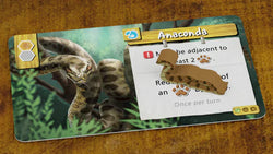Life of the Amazonia (ONLINE ORDER ONLY)