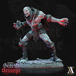 3D Printed Archvillain Games Archvillain Society Vol XVI - Awakened Ghouls 28mm 32mm D&D (Online Only)
