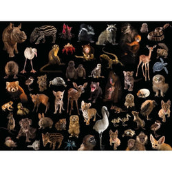 Baby Animals National Geographic Photo Ark 500 Piece Jigsaw Puzzle NYPC (ONLINE ORDER ONLY)