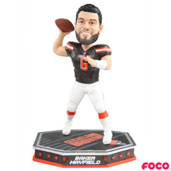 Removable Helmet Bobbleheads (ONLINE ORDER ONLY)