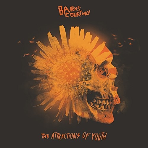 The Attractions Of Youth (Picture Disc Vinyl) [Vinyl]