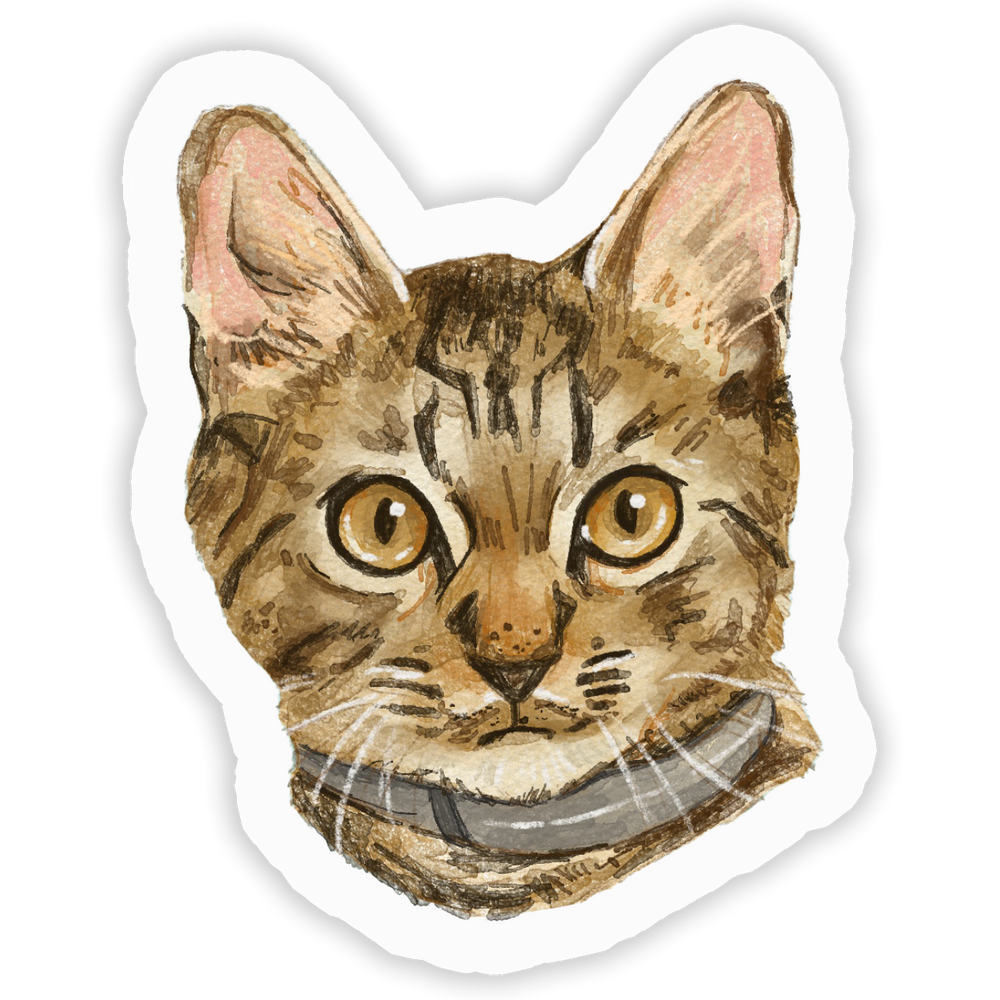 Faces Of Kitty Town Sticker Pack (Online Order Only)