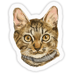 Faces Of Kitty Town Sticker Pack (Online Order Only)