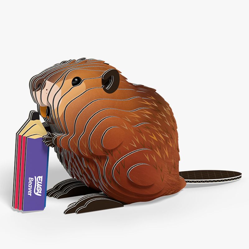 Beaver 3D Cardboard Model Kit Eugy (ONLINE ORDER ONLY)