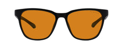 Berkeley (ONLINE ORDER ONLY)