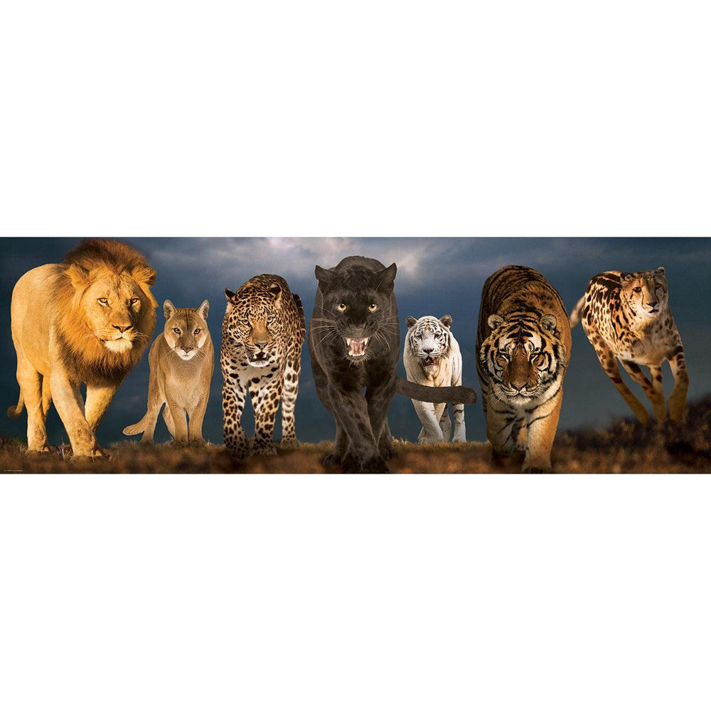 Big Cats 1000 Piece Panoramic Jigsaw Puzzle Eurographics (ONLINE ORDER ONLY)