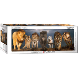 Big Cats 1000 Piece Panoramic Jigsaw Puzzle Eurographics (ONLINE ORDER ONLY)