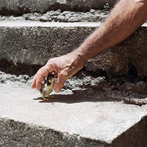 Mythological Beauty ("CONCRETE" GRAY VINYL) [Vinyl]