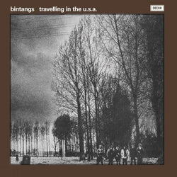 Bintangs - Travelling In The USA (Limited Edition, 180 Gram Vinyl, Colored Vinyl, White) [Import] [Vinyl] (ONLINE ORDER ONLY)