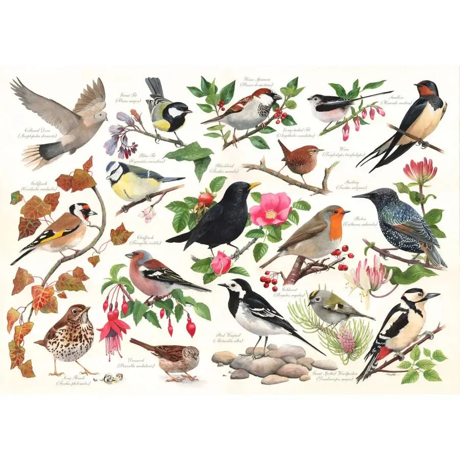 Birds in My Garden 1000 Piece Jigsaw Puzzle HOP (ONLINE ORDER ONLY)
