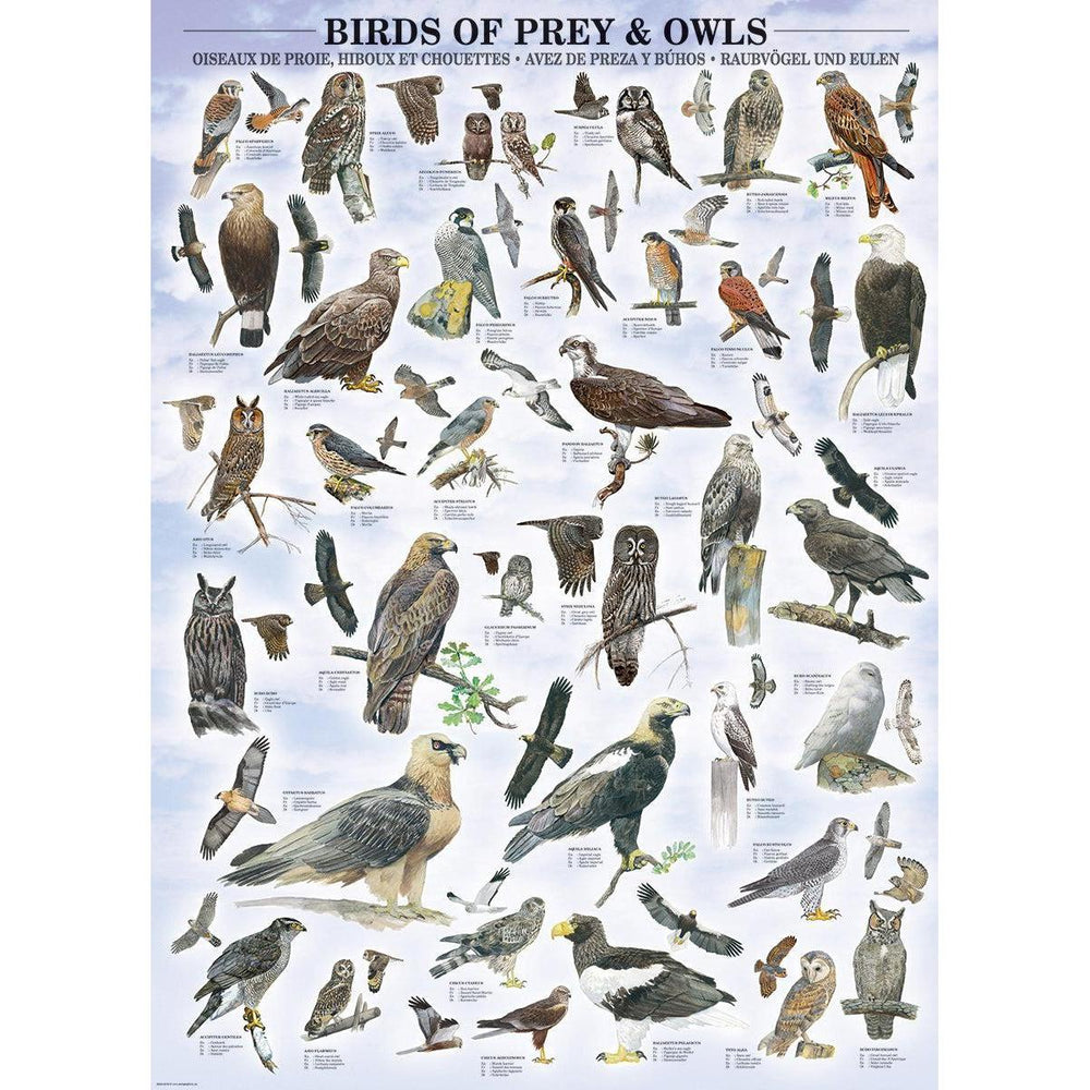 Birds of Prey & Owls 1000 Piece Jigsaw Puzzle Eurographics (ONLINE ORDER ONLY)