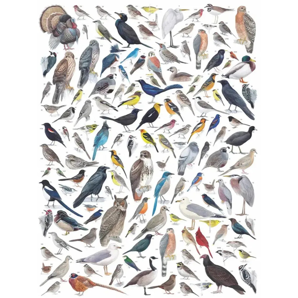 Birds of Western North America 1000 Piece Jigsaw Puzzle NYPC