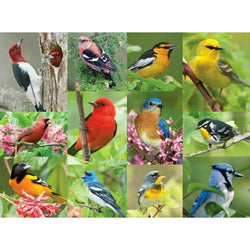 Birds of a Feather 500 Piece Jigsaw Puzzle Springbok (ONLINE ORDER ONLY)