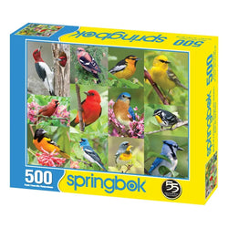 Birds of a Feather 500 Piece Jigsaw Puzzle Springbok (ONLINE ORDER ONLY)