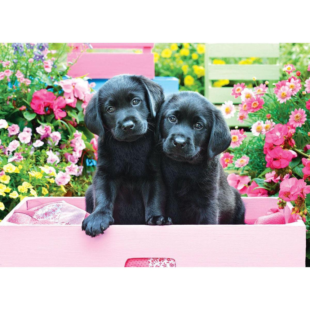 Black Labs in a Pink Box 500 Piece Jigsaw Puzzle Eurographics (ONLINE ORDER ONLY)