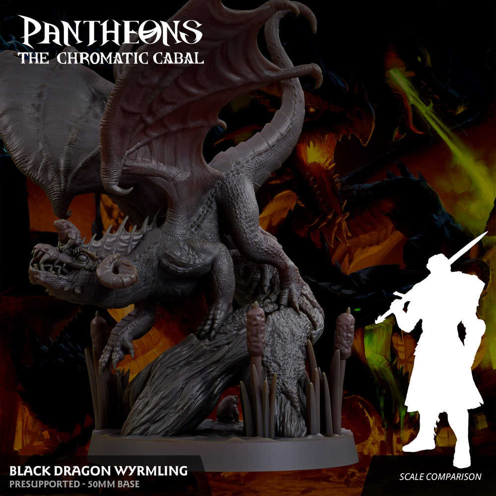 3D Printed Sordane Publishing Wyrmling Black Dragon Pantheons - The Chromatic Cabal 28 32mm D&D (Online Only)