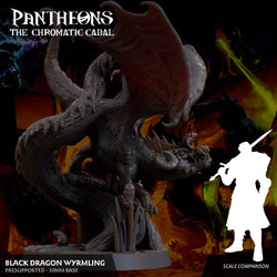 3D Printed Sordane Publishing Wyrmling Black Dragon Pantheons - The Chromatic Cabal 28 32mm D&D (Online Only)