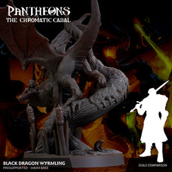 3D Printed Sordane Publishing Wyrmling Black Dragon Pantheons - The Chromatic Cabal 28 32mm D&D (Online Only)