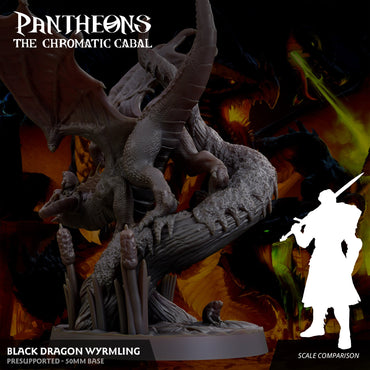 3D Printed Sordane Publishing Wyrmling Black Dragon Pantheons - The Chromatic Cabal 28 32mm D&D (Online Only)