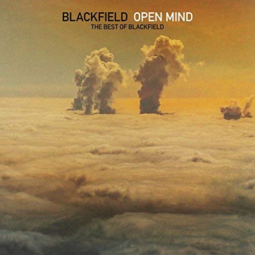Open Mind : The Best [Vinyl]