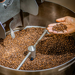 Enzyme Fermented Coffee - Family Size (5lb) (ONLINE ORDER ONLY)