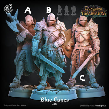 3D Printed Cast n Play Blue Capes Dungeons of Thamarya Set 28mm 32mm D&D (Online Only)