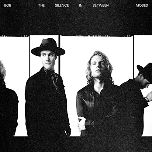 The Silence In Between [LP] [Vinyl]
