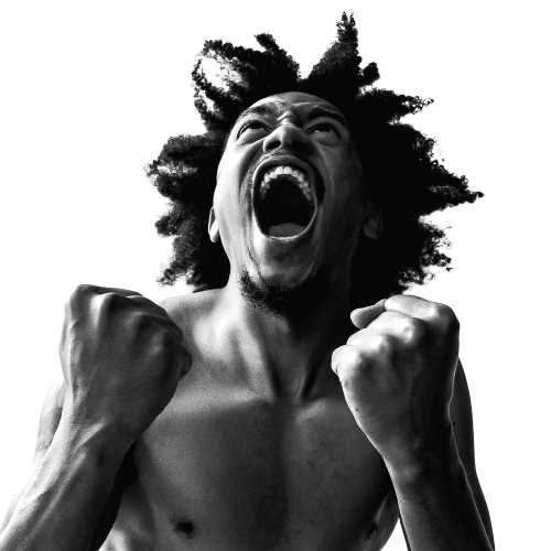 Manifest [LP] [Vinyl]