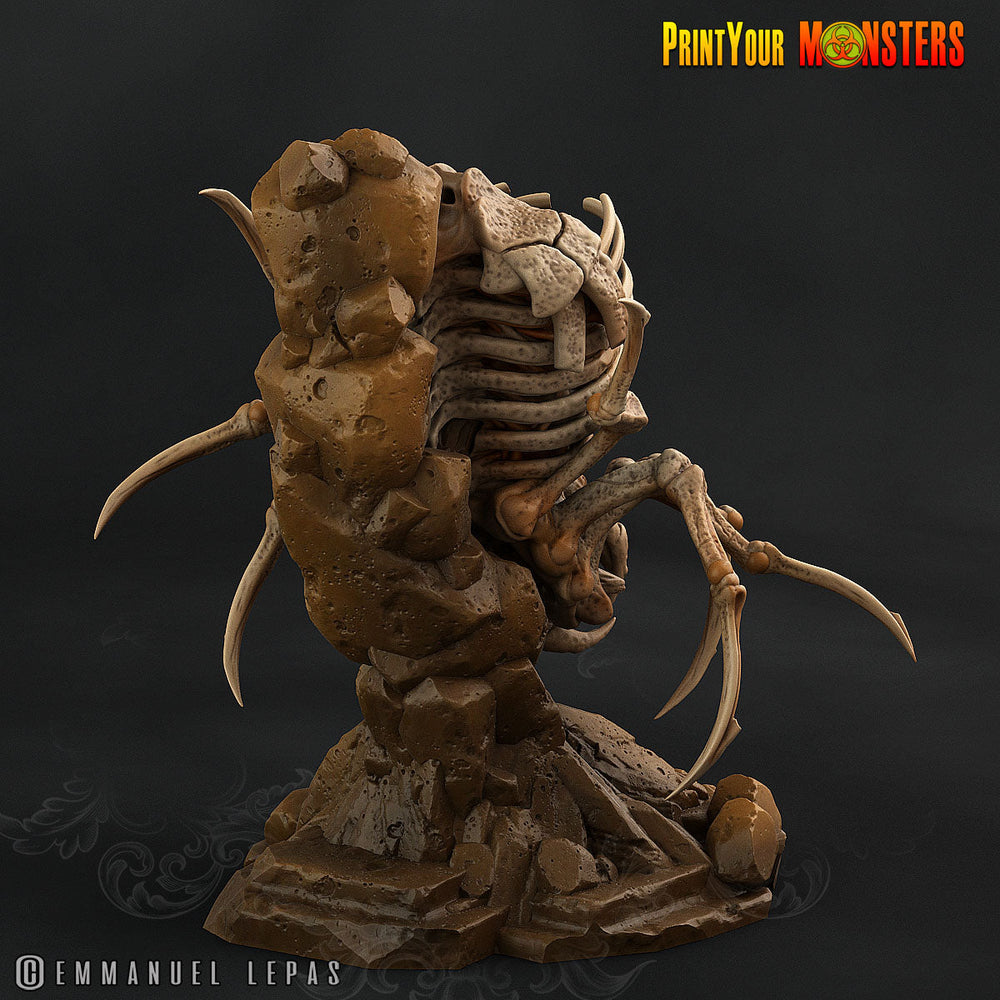 3D Printed Print your Monster The Ancient Bones Pack - Bone Spiders 28mm 32mm D&D (Online Only)