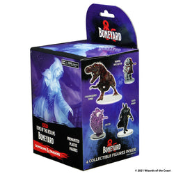D&D: Icons of the Realms - Boneyard Booster (ONLINE ORDER ONLY)