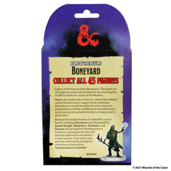 D&D: Icons of the Realms - Boneyard Booster (ONLINE ORDER ONLY)