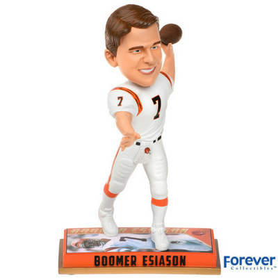 NFL Legends Series Bobbleheads (ONLINE ORDER ONLY)