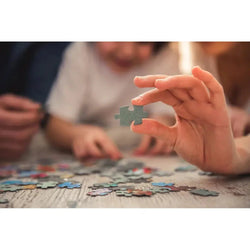 Boston Metropuzzle 1000 Piece Jigsaw Puzzle Geotoys (ONLINE ORDER ONLY)