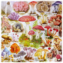 Bountiful Mushrooms 1000 Piece Jigsaw Puzzle eeBoo (ONLINE ORDER ONLY)
