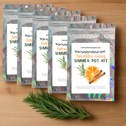 Stovetop Potpourri Simmer Pot Kits-  Breathe Easy Natural Congestion Relief (ONLINE ORDER ONLY)